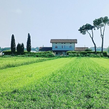 La Ricarda Dimora Di Campagna Bed and Breakfast Πέστουμ Εξωτερικό φωτογραφία