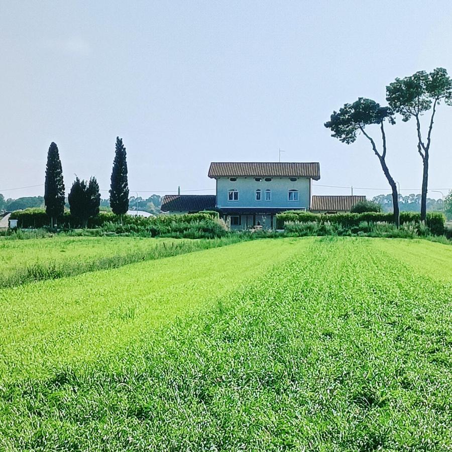 La Ricarda Dimora Di Campagna Bed and Breakfast Πέστουμ Εξωτερικό φωτογραφία