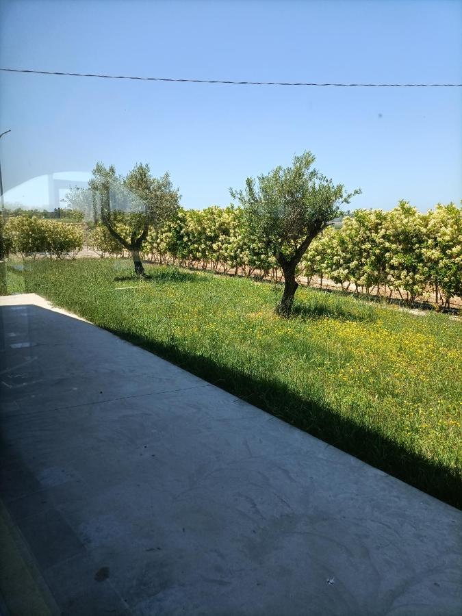 La Ricarda Dimora Di Campagna Bed and Breakfast Πέστουμ Εξωτερικό φωτογραφία
