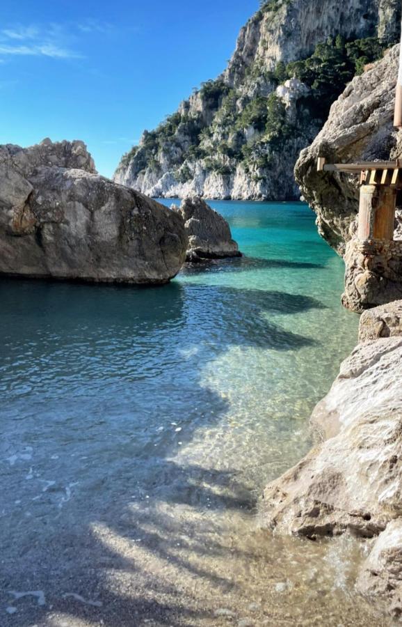 La Ricarda Dimora Di Campagna Bed and Breakfast Πέστουμ Εξωτερικό φωτογραφία
